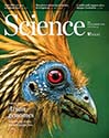 Article on avian genomes